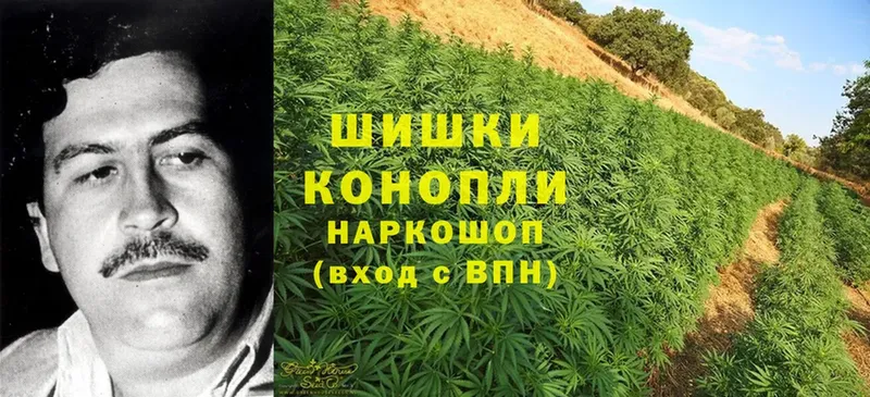 кракен   Малгобек  Канабис White Widow 